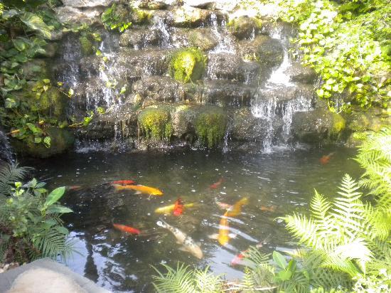 koi-pond-waterfall-08_5 Водопад кой езерце