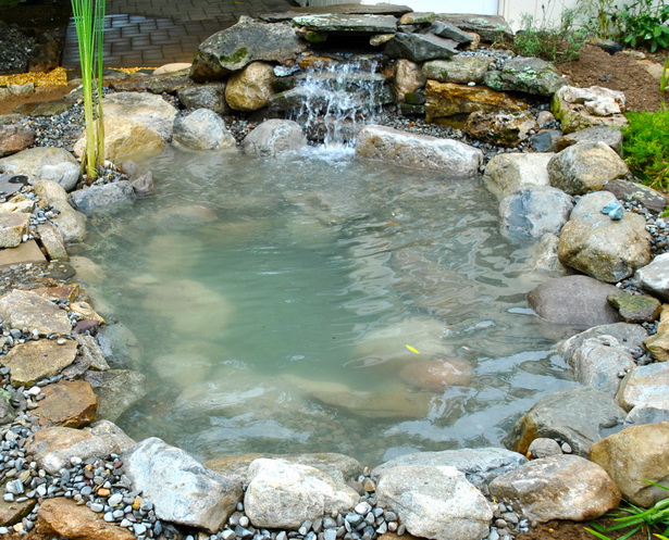 koi-water-garden-46_9 Кои водна градина