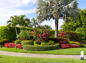 landscape-design-florida-48_15 Ландшафтен дизайн Флорида