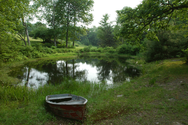landscape-with-pond-21 Пейзаж с езерце