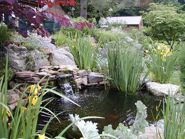 landscaping-a-pond-83_10 Озеленяване на езерце
