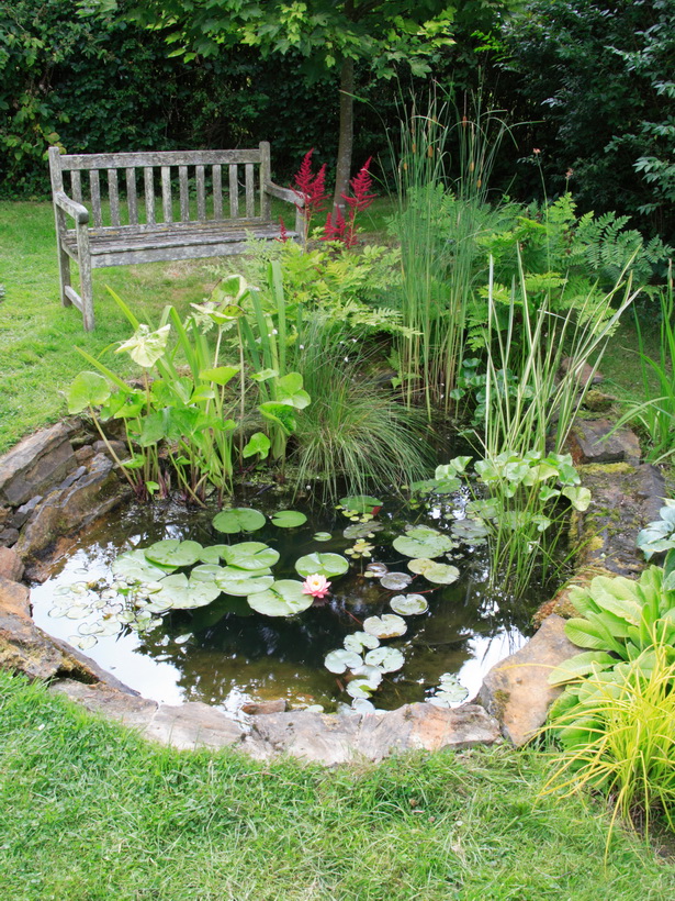 landscaping-a-pond-83_15 Озеленяване на езерце