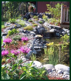 landscaping-a-pond-83_5 Озеленяване на езерце