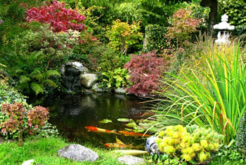landscaping-a-pond-83_8 Озеленяване на езерце