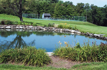 landscaping-around-a-pond-72_10 Озеленяване около езерце