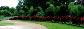 landscaping-ideas-hawaii-50_3 Идеи за озеленяване Хавай