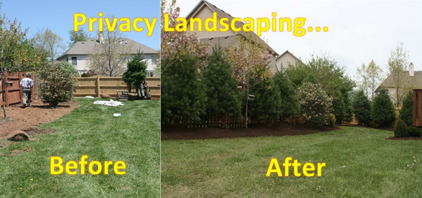 landscaping-privacy-ideas-74_4 Озеленяване идеи за поверителност