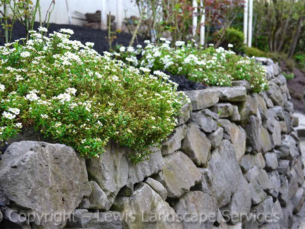 landscaping-rock-walls-95_10 Озеленяване скални стени