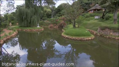 landscaping-the-ponds-98_9 Озеленяване на езерата