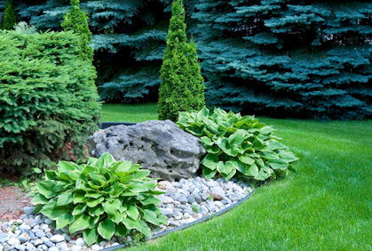 landscaping-using-rocks-and-stones-61_4 Озеленяване с камъни и камъни