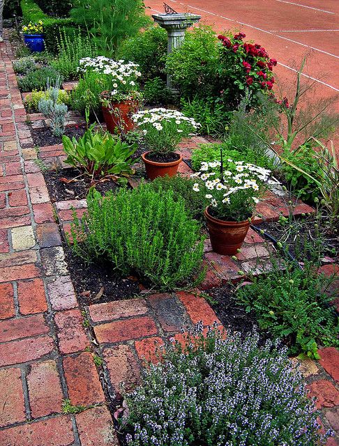 landscaping-with-herbs-17_2 Озеленяване с билки