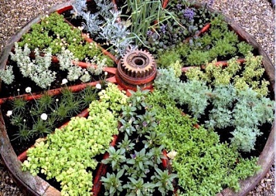 landscaping-with-herbs-17_3 Озеленяване с билки