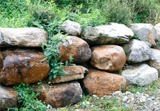landscaping-with-large-stones-94_10 Озеленяване с големи камъни