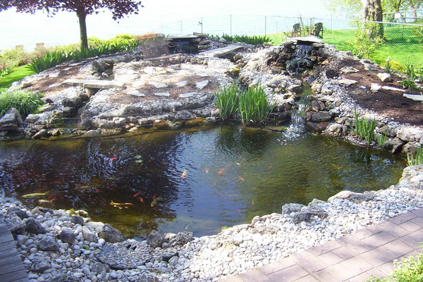 large-backyard-pond-40_17 Голям двор езерце