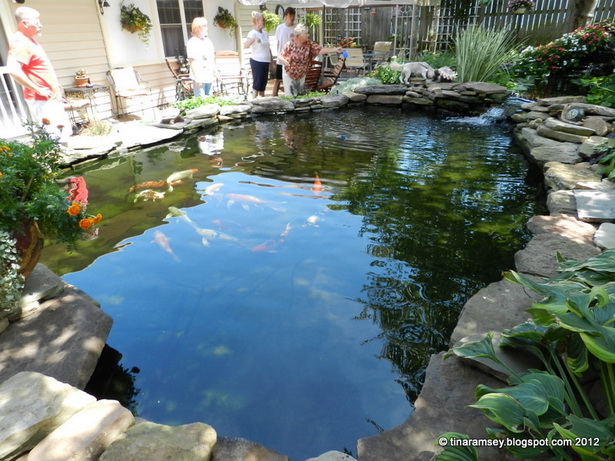 large-backyard-pond-40_4 Голям двор езерце