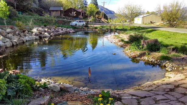 large-backyard-pond-40_5 Голям двор езерце
