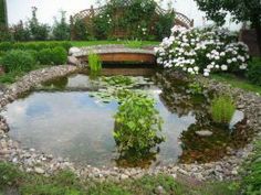 large-backyard-pond-40_7 Голям двор езерце