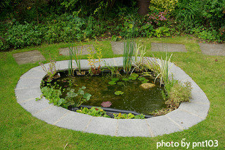 large-backyard-pond-40_9 Голям двор езерце