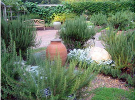 large-herb-garden-95 Голяма билкова градина