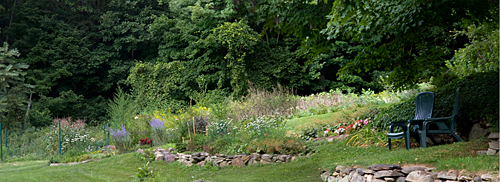 large-herb-garden-95_16 Голяма билкова градина