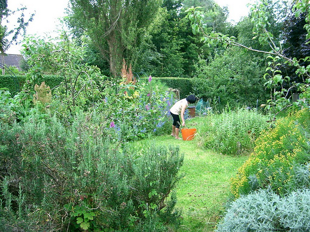 large-herb-garden-95_8 Голяма билкова градина