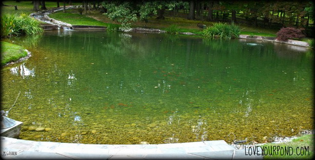 large-pond-design-30_10 Дизайн на голямо езерце