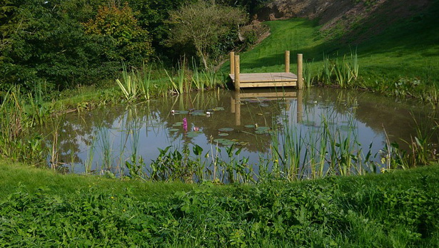 large-pond-design-30_14 Дизайн на голямо езерце