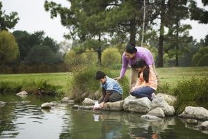 large-pond-landscaping-ideas-53_16 Големи идеи за озеленяване на езерце