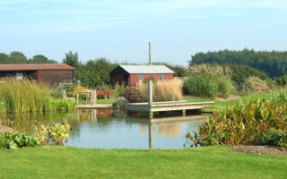 large-pond-landscaping-00_13 Голямо езерце озеленяване
