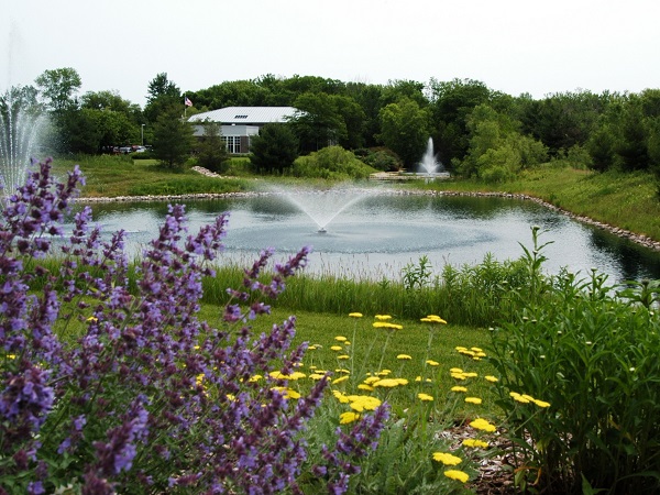 large-pond-landscaping-00_15 Голямо езерце озеленяване