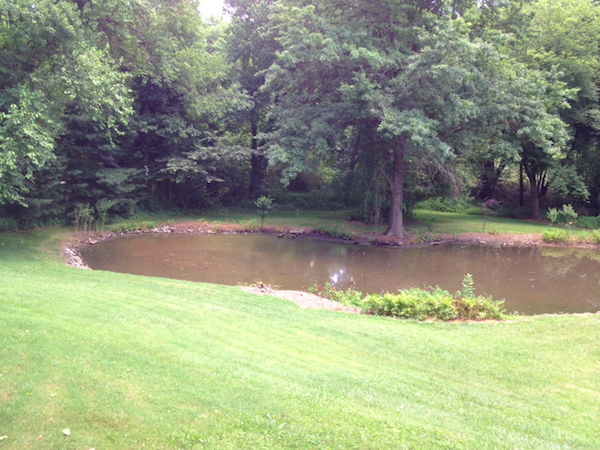 large-pond-landscaping-00_19 Голямо езерце озеленяване