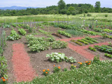 large-vegetable-garden-design-66_14 Дизайн на голяма зеленчукова градина