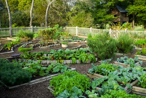 large-vegetable-garden-design-66_9 Дизайн на голяма зеленчукова градина
