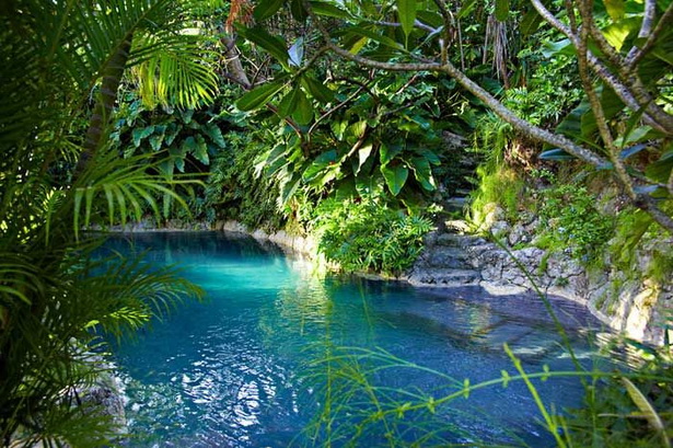 lush-tropical-gardens-29 Буйни тропически градини