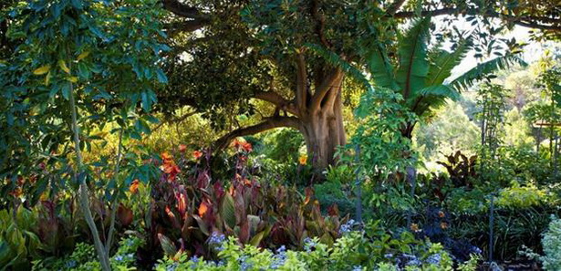 lush-tropical-gardens-29_13 Буйни тропически градини