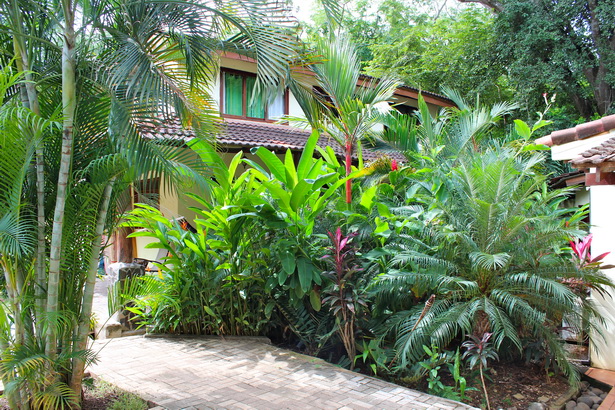 lush-tropical-gardens-29_14 Буйни тропически градини