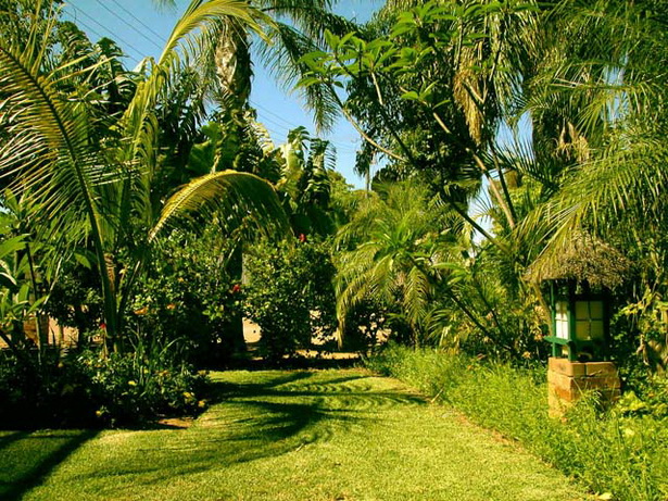 lush-tropical-gardens-29_15 Буйни тропически градини
