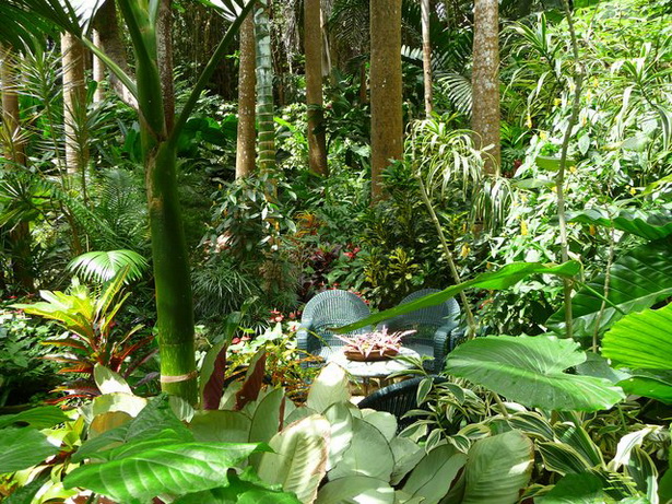 lush-tropical-gardens-29_2 Буйни тропически градини