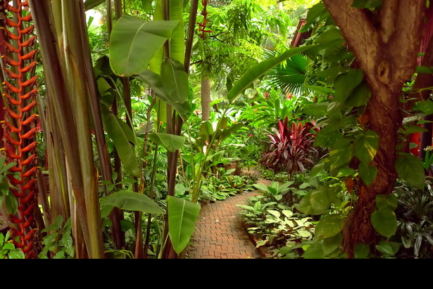 lush-tropical-gardens-29_9 Буйни тропически градини