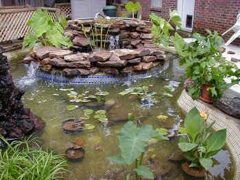 make-your-own-pond-45_11 Направете си собствено езерце
