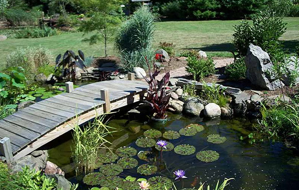 make-your-own-pond-45_7 Направете си собствено езерце