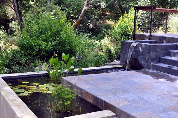 Модерен дизайн на градинско езерце