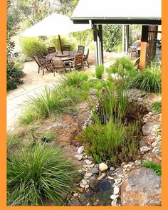native-australian-garden-design-ideas-50_11 Идеи за австралийски градински дизайн
