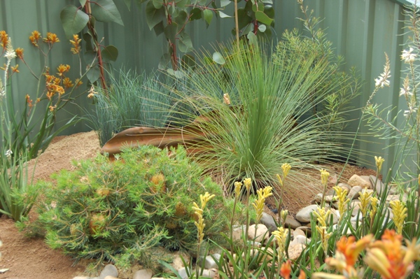 native-australian-garden-design-ideas-50_12 Идеи за австралийски градински дизайн