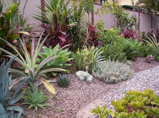 native-australian-garden-design-ideas-50_17 Идеи за австралийски градински дизайн
