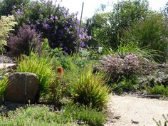 native-australian-garden-design-ideas-50_18 Идеи за австралийски градински дизайн
