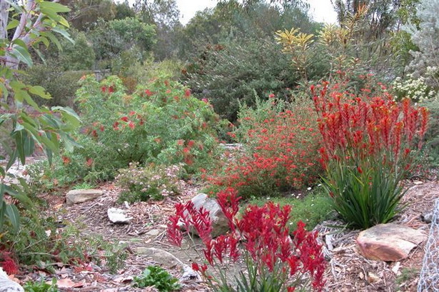 native-australian-garden-design-ideas-50_7 Идеи за австралийски градински дизайн