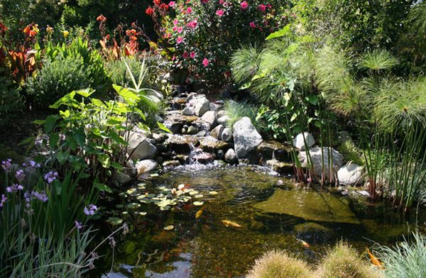 natural-garden-pond-ideas-04_16 Идеи за естествено градинско езерце