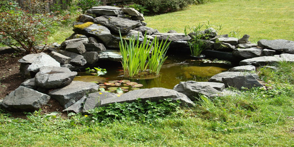 natural-garden-ponds-07 Естествени градински езера