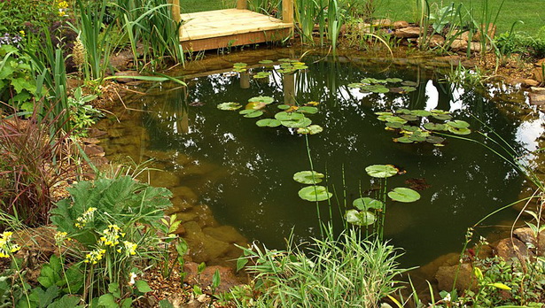 natural-garden-ponds-07_11 Естествени градински езера